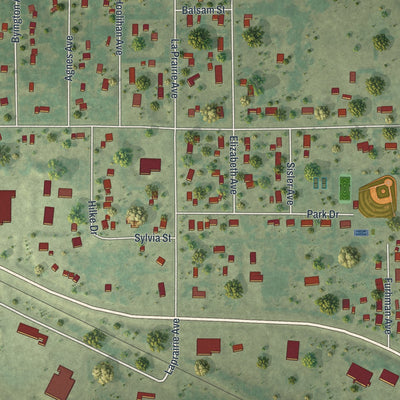 Close-up of the map of La Prairie, Minnesota print showing street and building detail