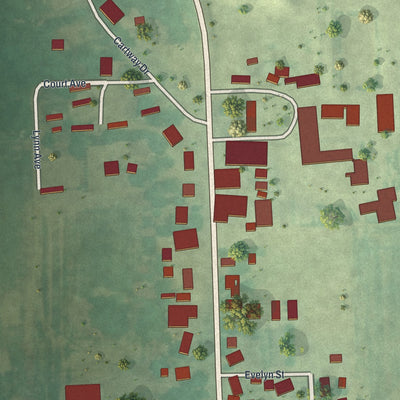 Close-up of the map of Lake Henry, Minnesota print showing street and building detail
