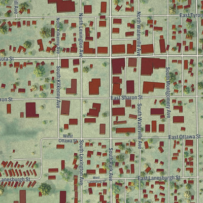 Close-up of the map of Le Center, Minnesota print showing street and building detail