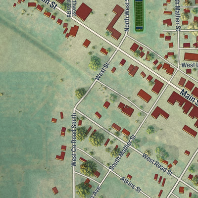 Second close-up of the map of Le Roy, Minnesota print showing more streets and buildings