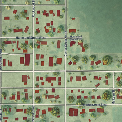 Close-up of the map of Lewisville, Minnesota print showing street and building detail