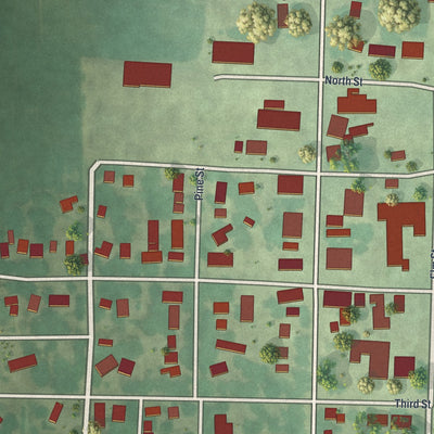 Close-up of the map of Lucan, Minnesota print showing street and building detail