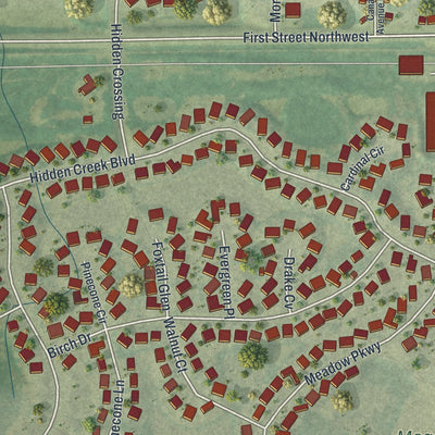 Close-up of the map of Mayer, Minnesota print showing street and building detail