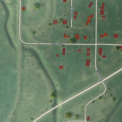 Second close-up of the map of Maynard, Minnesota print showing more streets and buildings