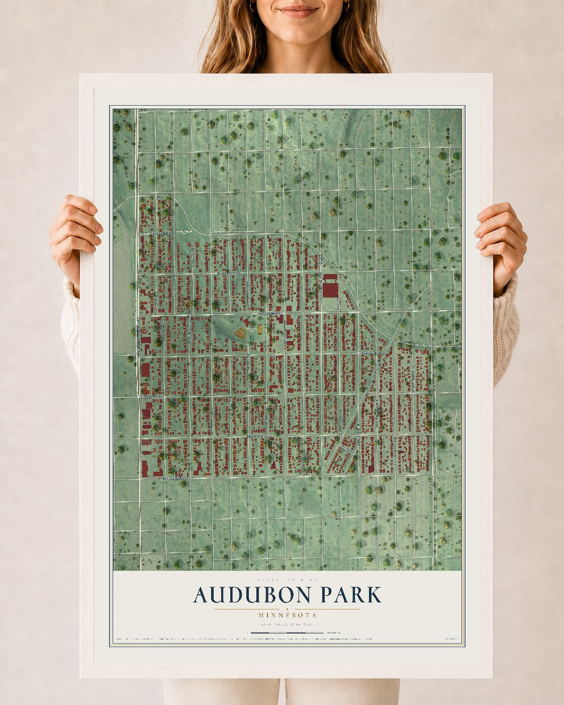 Map of Audubon Park, Minnesota, 24 x 36 inch print in a white wood frame