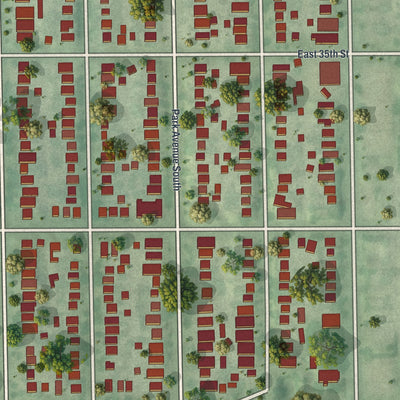 Second close-up of the map of Central, Minnesota print showing more streets and buildings
