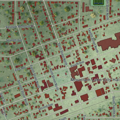 Close-up of the map of Mountain Lake, Minnesota print showing street and building detail