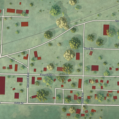 Close-up of the map of Nassau, Minnesota print showing street and building detail