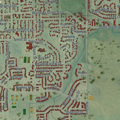 Second close-up of the map of Northfield, Minnesota print showing more streets and buildings