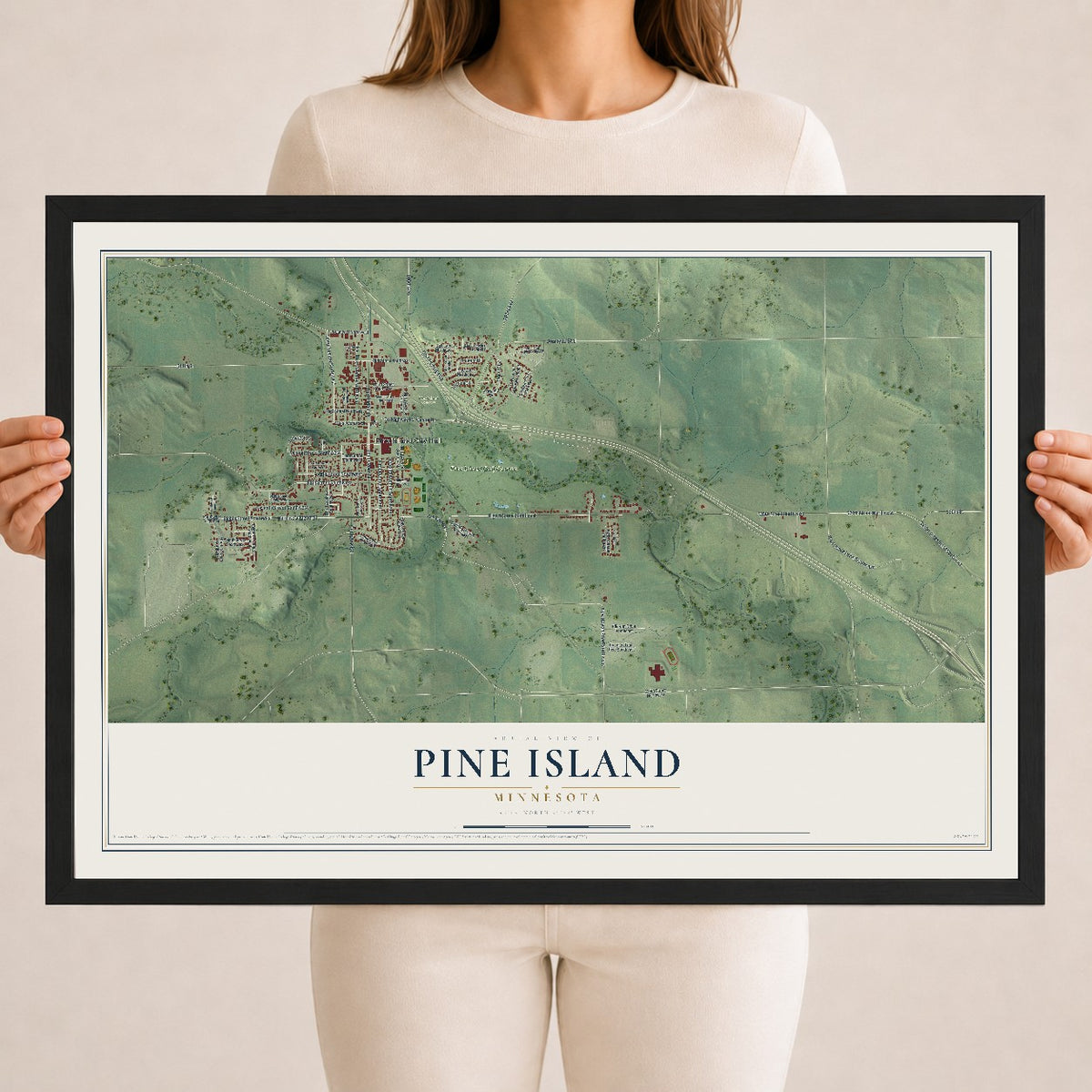 Map of Pine Island, Minnesota, 18 x 24 inch print in a black wood frame