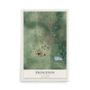 Map of Princeton, Minnesota, 12 x 18 inch unframed archival matte print