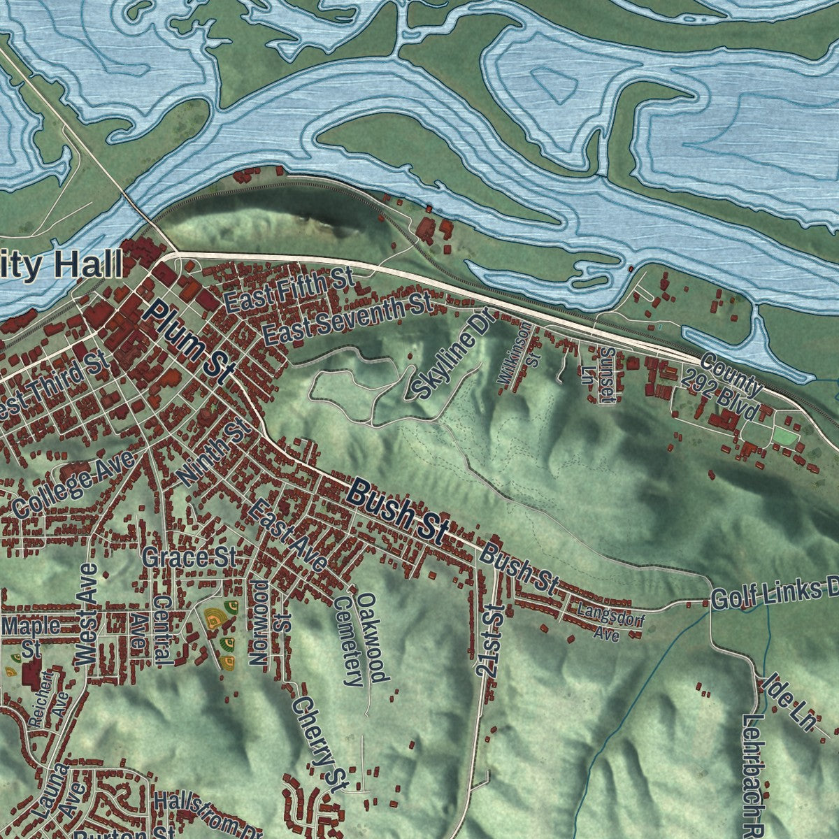 Close-up of the map of Red Wing, Minnesota print showing street and building detail