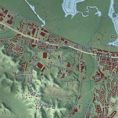 Second close-up of the map of Red Wing, Minnesota print showing more streets and buildings