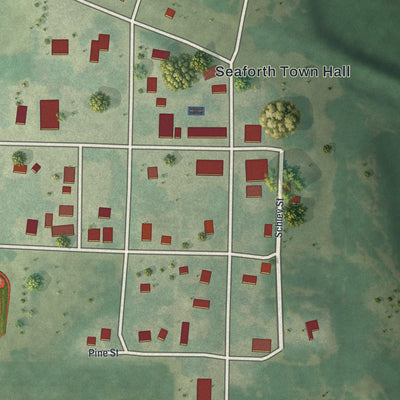 Close-up of the map of Seaforth, Minnesota print showing street and building detail