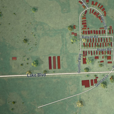 Second close-up of the map of Shafer, Minnesota print showing more streets and buildings