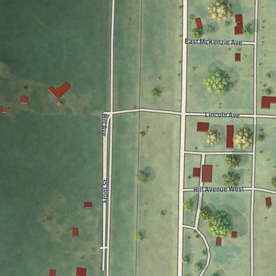 Close-up of the map of Strathcona, Minnesota print showing street and building detail