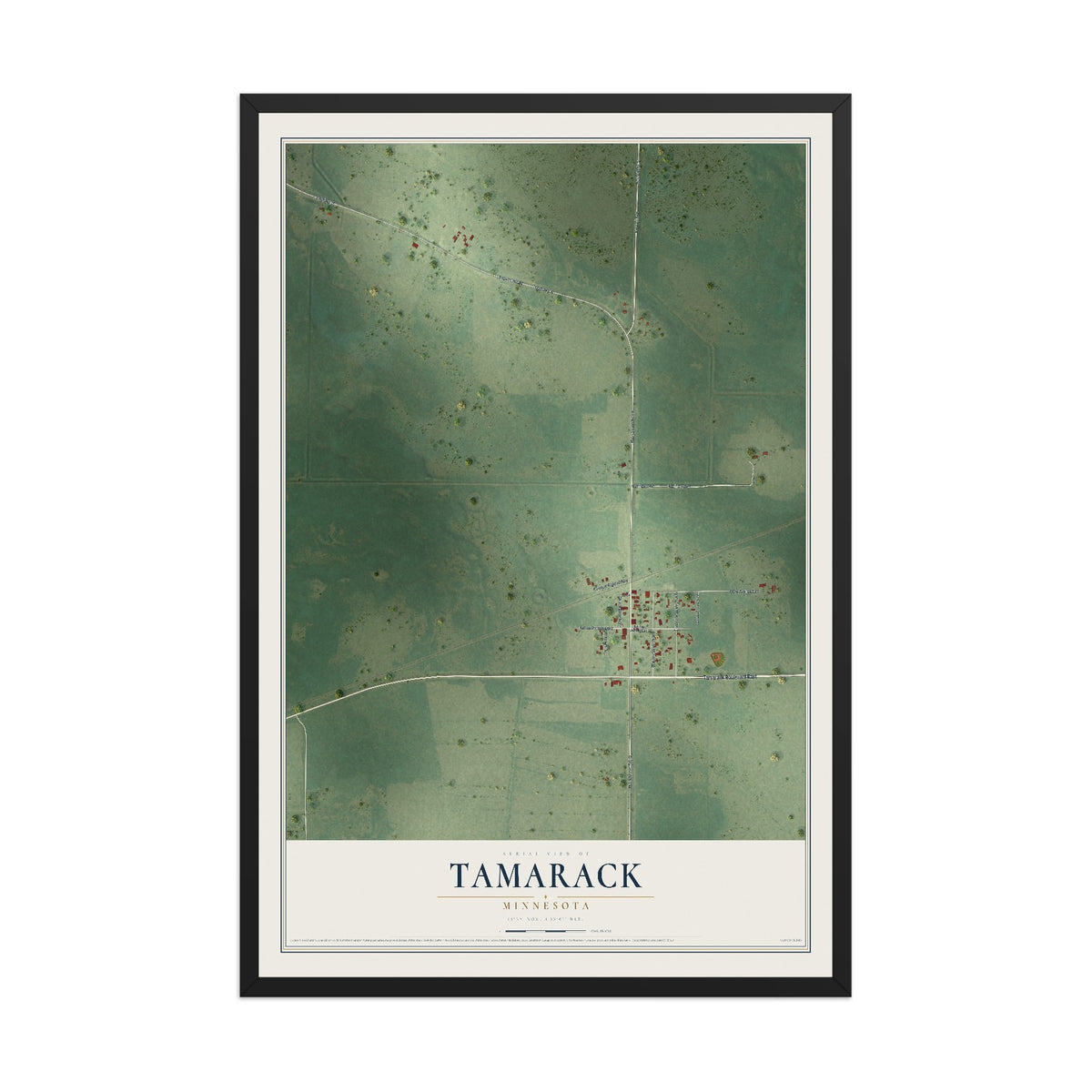 Map of Tamarack, Minnesota, 12 x 18 inch print in a black wood frame