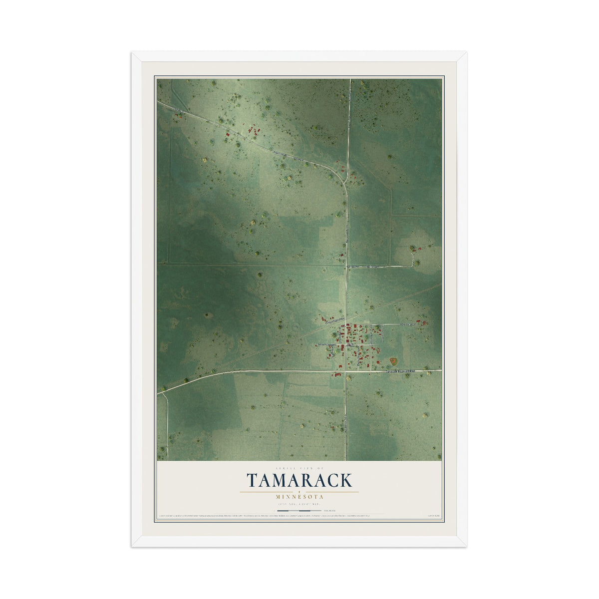 Map of Tamarack, Minnesota, 12 x 18 inch print in a white wood frame