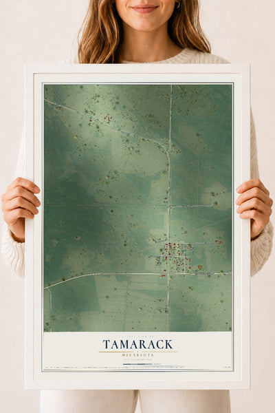 Map of Tamarack, Minnesota, 18 x 24 inch print in a white wood frame
