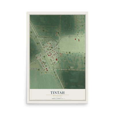 Map of Tintah, Minnesota, 12 x 18 inch unframed archival matte print