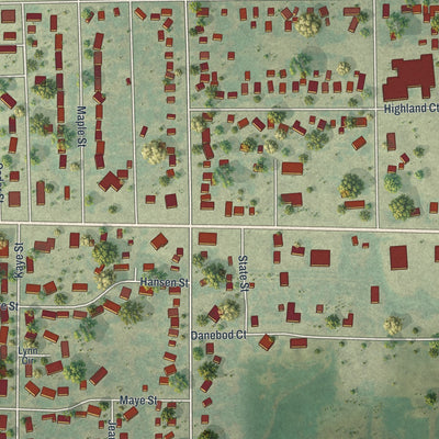 Close-up of the map of Tyler, Minnesota print showing street and building detail