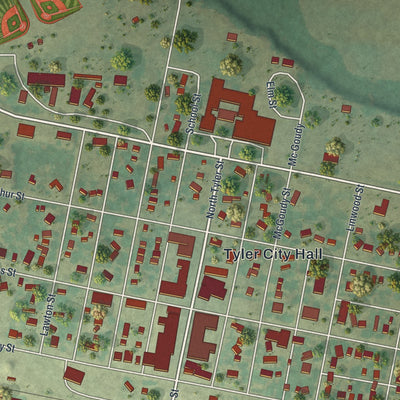 Second close-up of the map of Tyler, Minnesota print showing more streets and buildings
