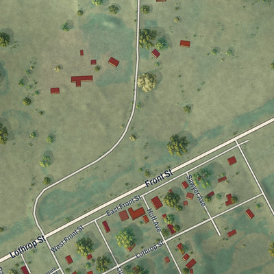 Close-up of the map of Vining, Minnesota print showing street and building detail