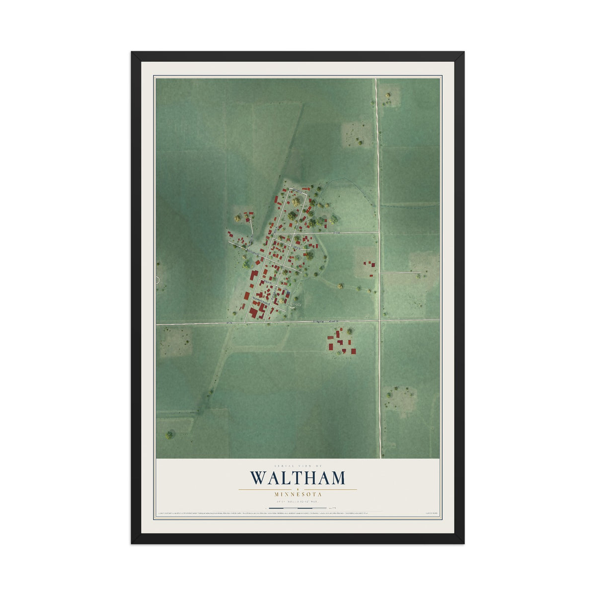 Map of Waltham, Minnesota, 12 x 18 inch print in a black wood frame