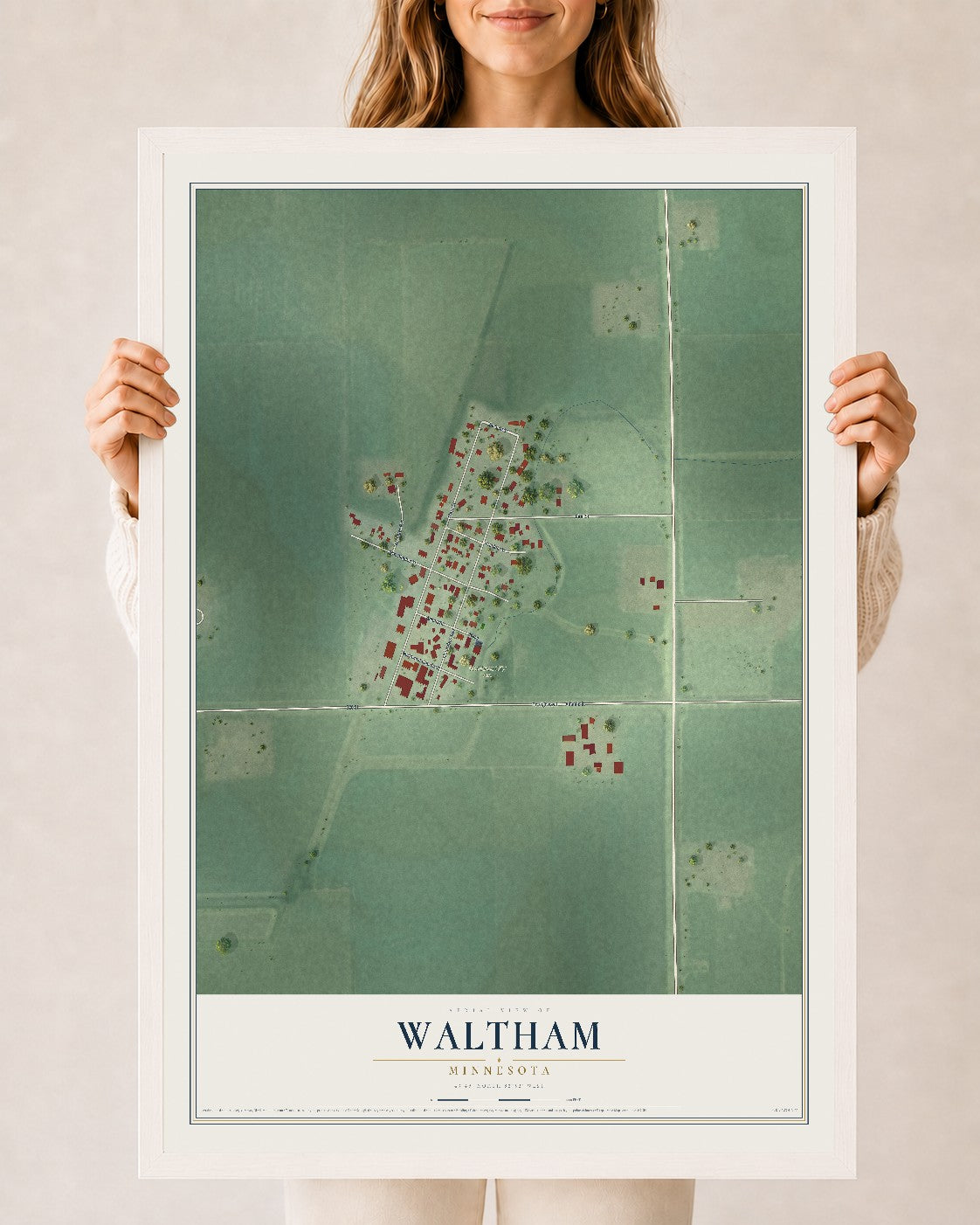 Map of Waltham, Minnesota, 24 x 36 inch print in a white wood frame