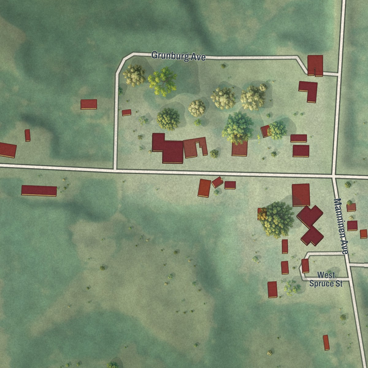 Close-up of the map of Wolf Lake, Minnesota print showing street and building detail