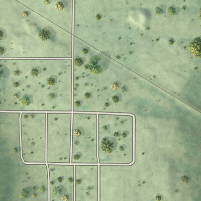 Second close-up of the map of Zemple, Minnesota print showing more streets and buildings