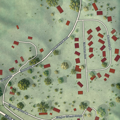 Close-up of the map of Zumbro Falls, Minnesota print showing street and building detail