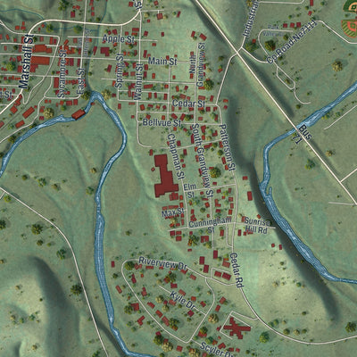 Close-up of the map of Anderson, Missouri print showing street and building detail