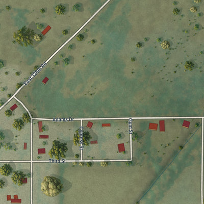 Second close-up of the map of Anniston, Missouri print showing more streets and buildings