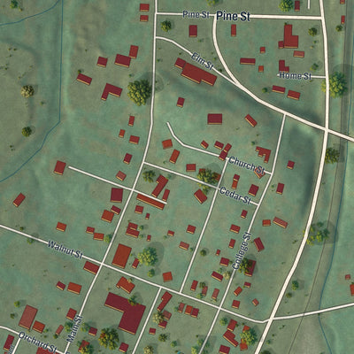 Close-up of the map of Arcadia, Missouri print showing street and building detail