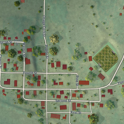 Close-up of the map of Argyle, Missouri print showing street and building detail