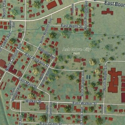 Close-up of the map of Ash Grove, Missouri print showing street and building detail