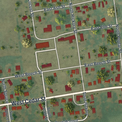Close-up of the map of Bertrand, Missouri print showing street and building detail