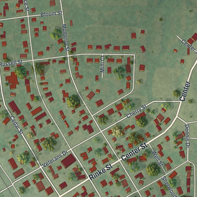 Close-up of the map of Bismarck, Missouri print showing street and building detail