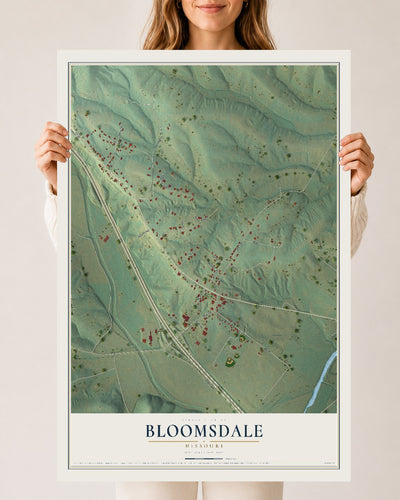 Map of Bloomsdale, Missouri, 24 x 36 inch unframed archival matte print