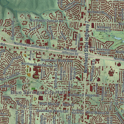 Close-up of the map of Blue Springs, Missouri print showing street and building detail