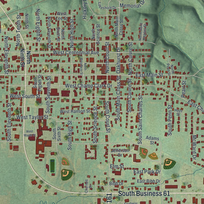Close-up of the map of Bowling Green, Missouri print showing street and building detail