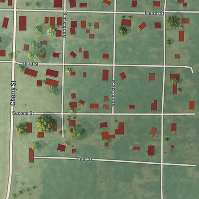 Close-up of the map of Bronaugh, Missouri print showing street and building detail