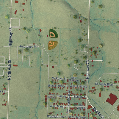 Second close-up of the map of Buffalo, Missouri print showing more streets and buildings