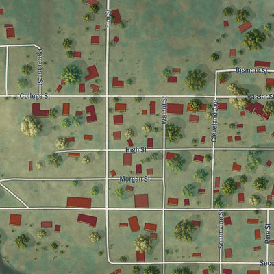 Close-up of the map of Bunceton, Missouri print showing street and building detail