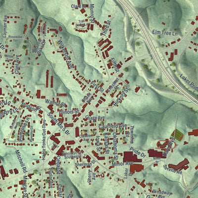 Close-up of the map of Camdenton, Missouri print showing street and building detail