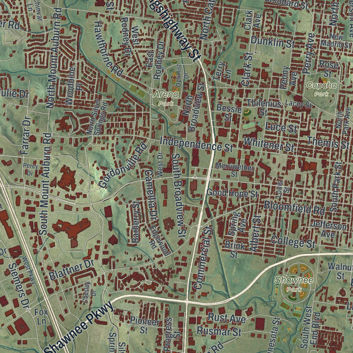 Close-up of the map of Cape Girardeau, Missouri print showing street and building detail