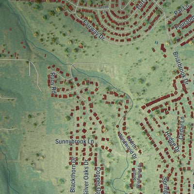 Close-up of the map of Carl Junction, Missouri print showing street and building detail