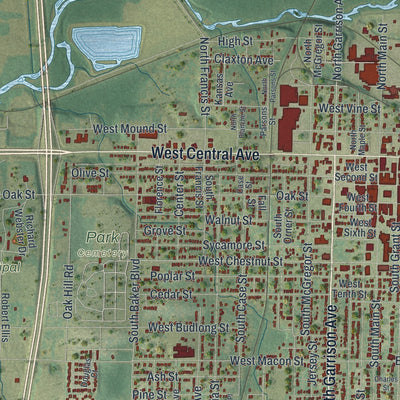 Second close-up of the map of Carthage, Missouri print showing more streets and buildings