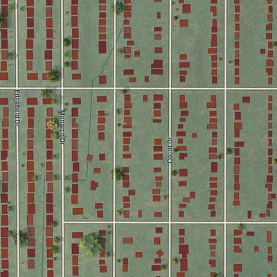 Close-up of the map of Castle Point, Missouri print showing street and building detail